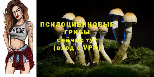 молекула духа Пересвет